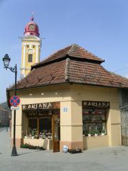 FLORARIA ARIANA > florarie in incinta GOLD PLAZA, Baia Mare, MM, m2015_1.jpg