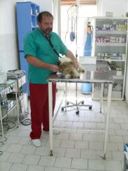 Cabinet si farmacie veterinara ZOO VET > medic ALIN BOCHIS, Baia Mare, MM, m2539_17.jpg