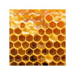 MIERE ALBINE si APICOLE telefonic > LIVRARI miere, produse apicole > C. Buciuman - APICULTOR, Baia Mare, MM, m5221_4.jpg